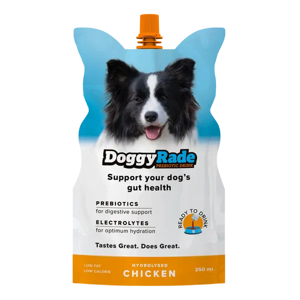 DoggyRade 250ml - Chicken Prebiotic Drink