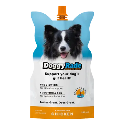 DoggyRade 250ml - Chicken Prebiotic Drink