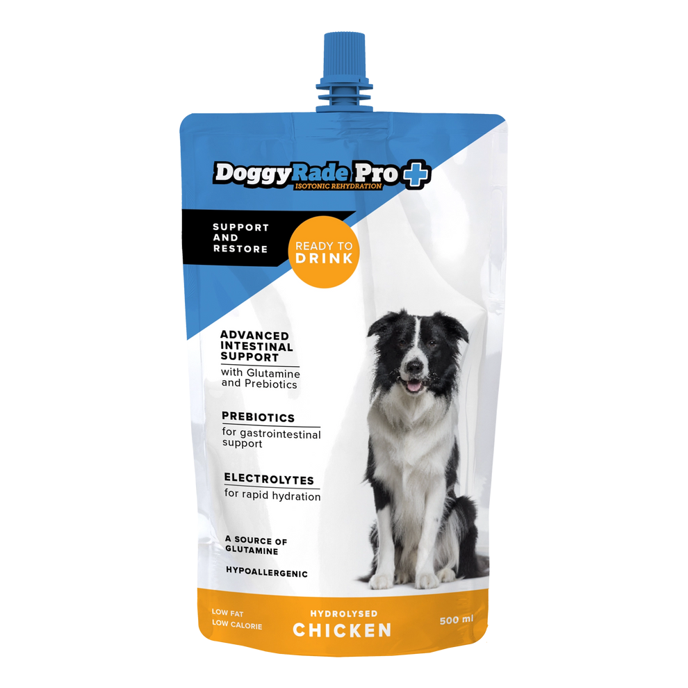 DoggyRade Chicken - Advanced Intestinal Support Drink for Dogs 500ml
