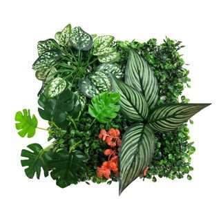 Betta Terra Calathea Mat - 25 x 25cm