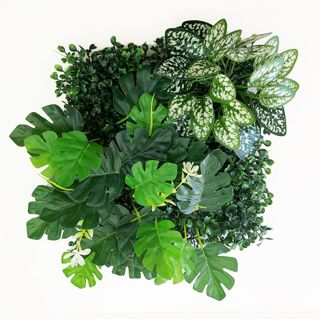 Betta Terra Monstera Plant Mat 25 x 25cm