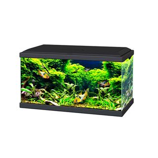 Ciano Aquarium 60 LED - Black 65L