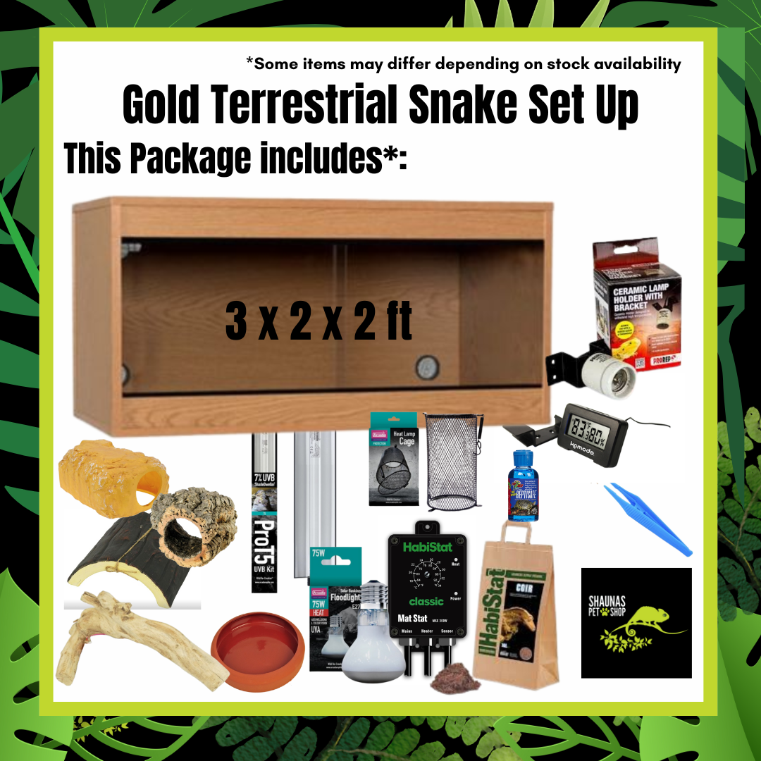 Gold Terrestrial Snake Setup