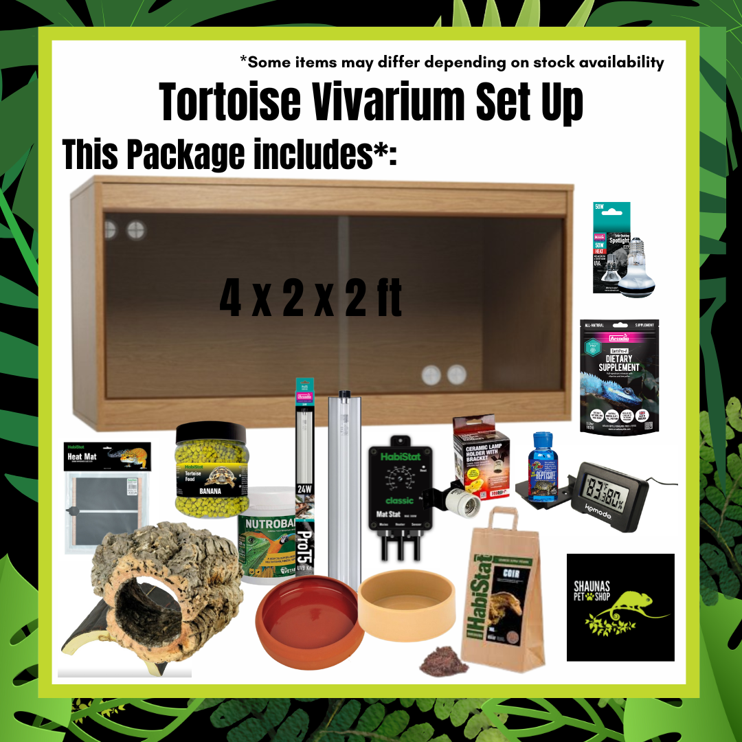 Complete Tortoise Set Up (Closed Vivarium)