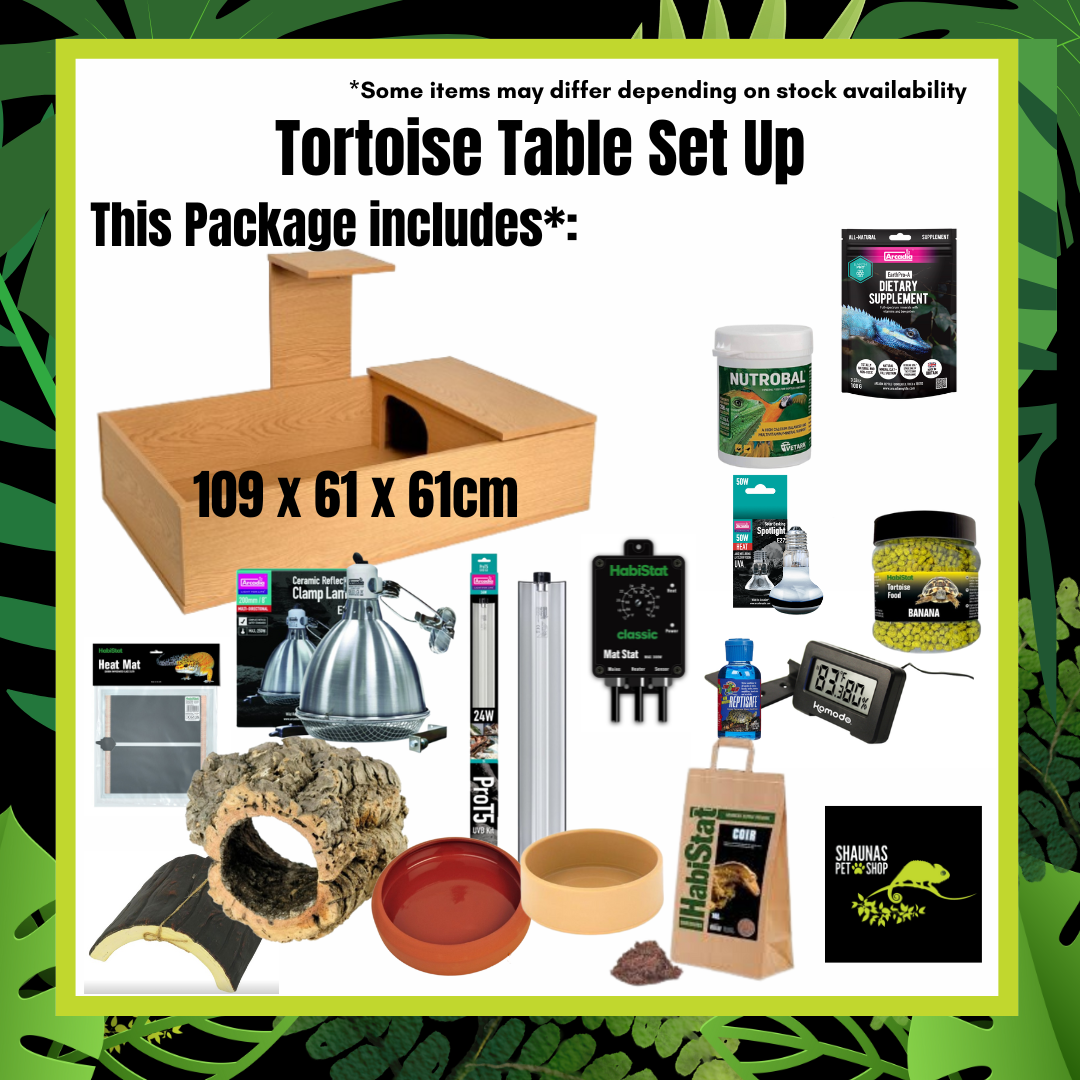 Complete Tortoise Set up (Tortoise Table)