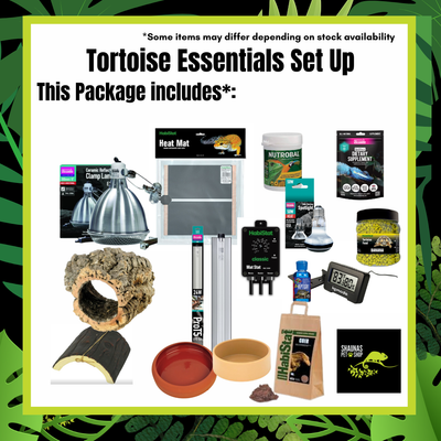 Tortoise Essential Kit