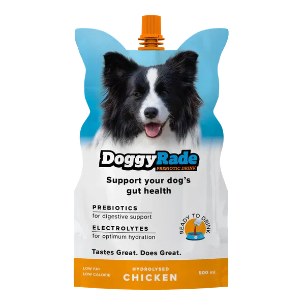 DoggyRade Chicken Prebiotic Drink for Dogs - 500ml