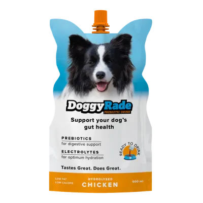 DoggyRade Chicken Prebiotic Drink for Dogs - 500ml