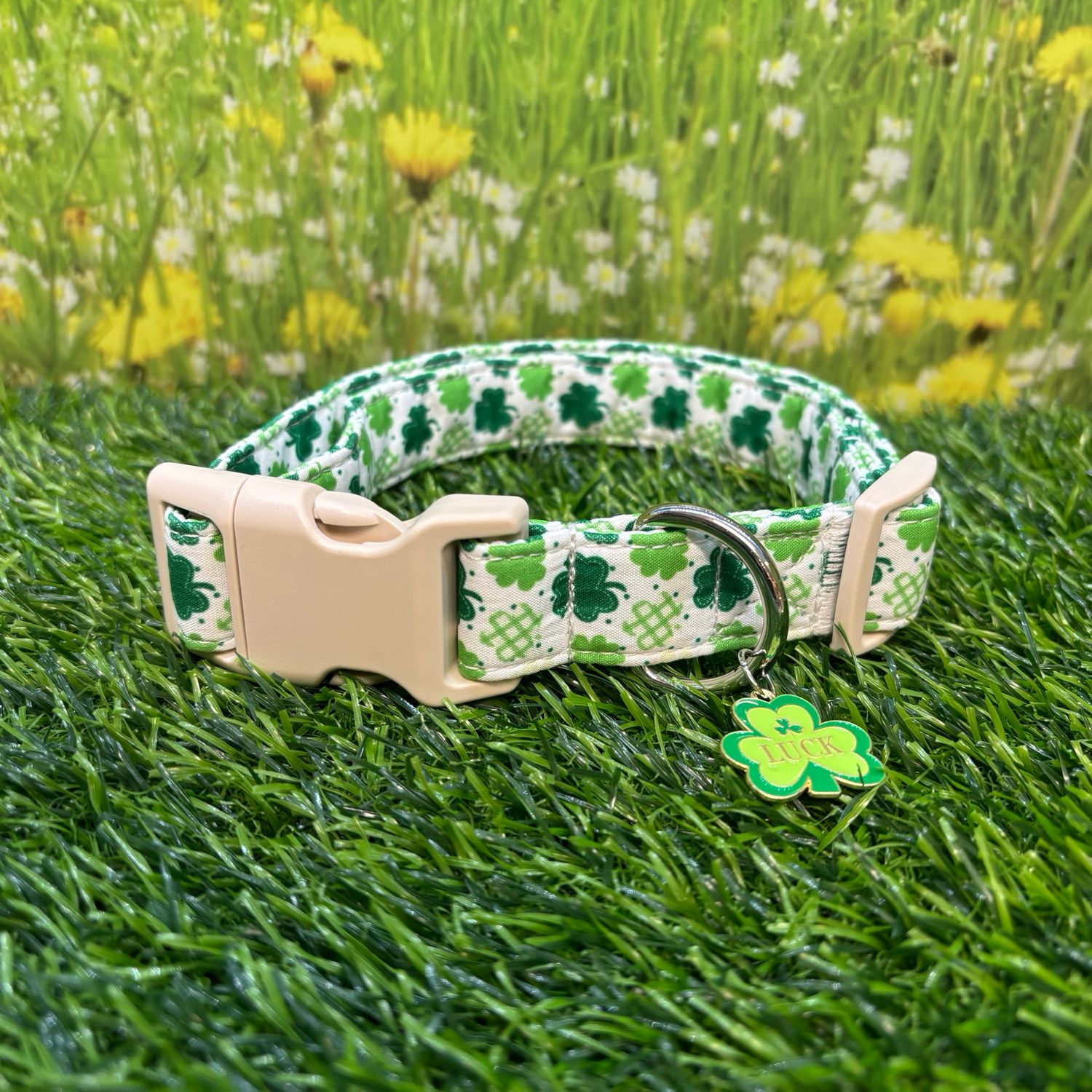 Green and White Shamrock Collar