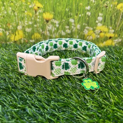 Green and White Shamrock Collar