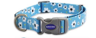 Ancol SoHo Blue Daisy Dog Collar