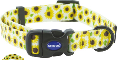Ancol SoHo Sunflower Dog Collar