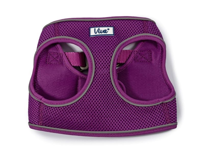 Ancol Viva Step in Harness - Purple