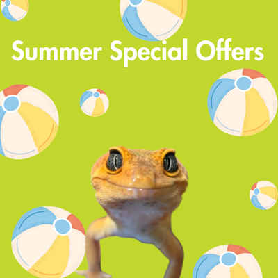 Summer Special Offers