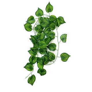 Betta Terra Green Vine 230cm