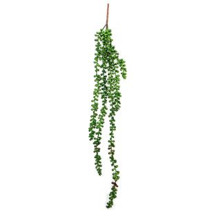 Betta Terra Green/Red Vine 70cm