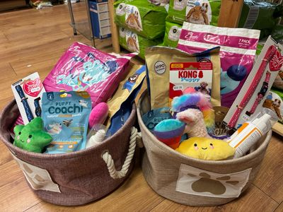 New Puppy Hamper