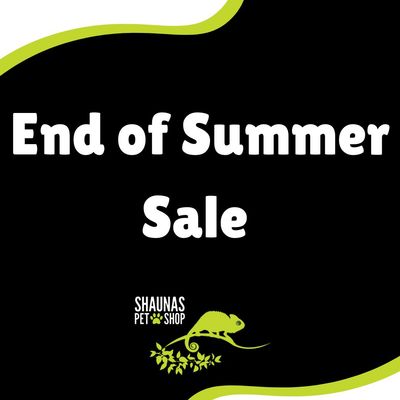 End Of Summer Sale
