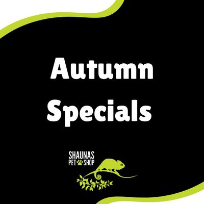Autumn Special Offers
