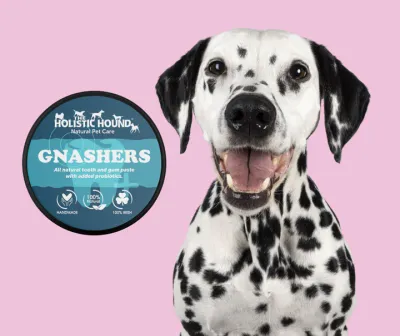 The Holistic Hound - Gnashers