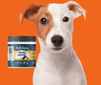 The Holistic Hound Mutz Nutz Peanut Butter - 250g