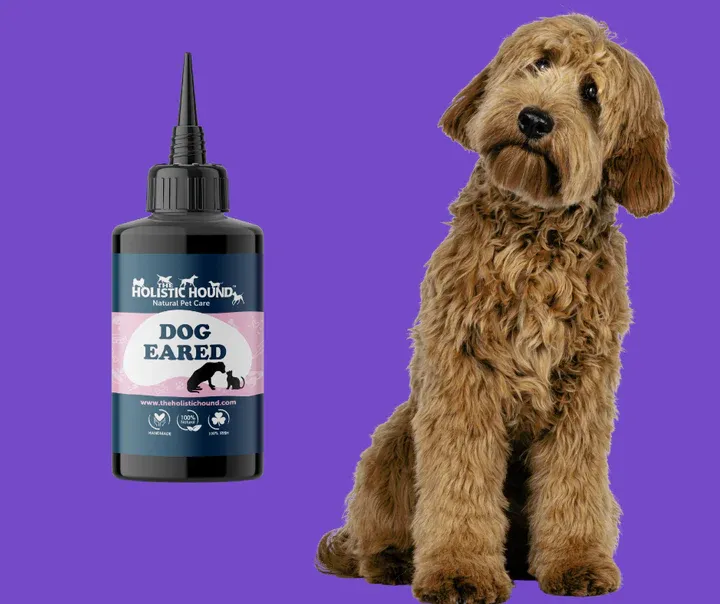 The Holistic Hound Dog Eared Ear Oil - 50ml