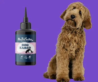 The Holistic Hound Dog Eared Ear Oil - 50ml