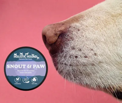 The Holistic Hound Snout &amp; Paw Balm - 40ml