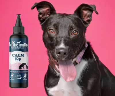The Holistic Hound Calm K9 Supplement - 500ml