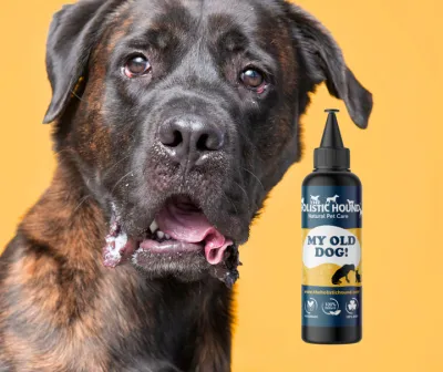 The Holistic Hound My Old Dog Supplement - 500ml