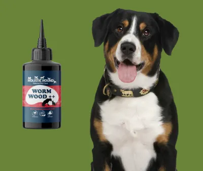 The Holistic Hound Wormwood ++ Drops - 50ml