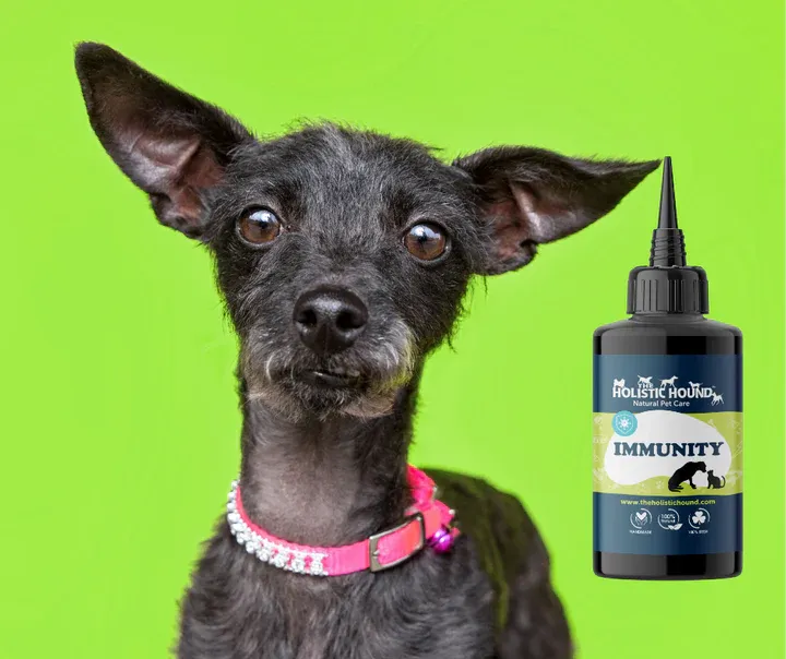 The Holistic Hound Fundamentals: Immunity - 50ml
