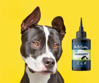 The Holistic Hound Fundamentals: Mobility - 50ml