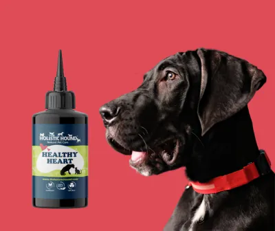 The Holistic Hound Fundamentals: Healthy Heart - 50ml