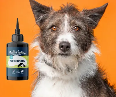 The Holistic Hound Fundamentals: Senior Dog - 50ml