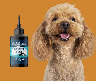 The Holistic Hound Bright Eyes Lotion - 50ml