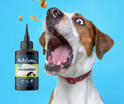 The Holistic Hound Fundamentals: Digestion - 50ml