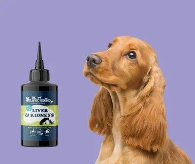 The Holistic Hound Fundamentals: Liver &amp; Kidneys - 50ml