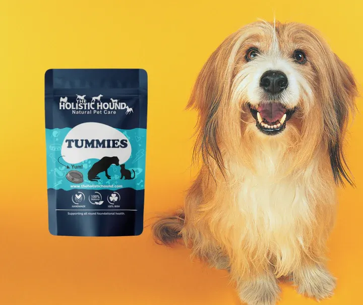 The Holistic Hound Tummies Supplement - 300g