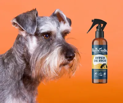 The Holistic Hound Ditch De Itch Spray - 100ml