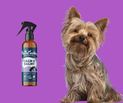 The Holistic Hound Calm &amp; Balmy Spray - 100ml