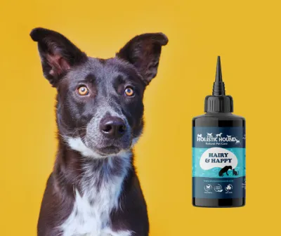 The Holistic Hound - Hairy &amp; Happy (formerly Ticked Off)