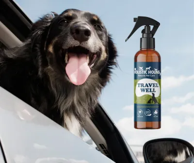 The Holistic Hound - Travel Well