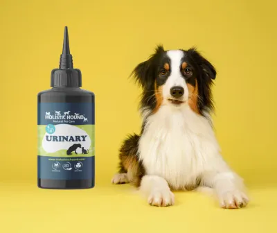The Holistic Hound Fundamentals: Urinary