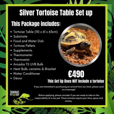Silver Tortoise Table Set Up