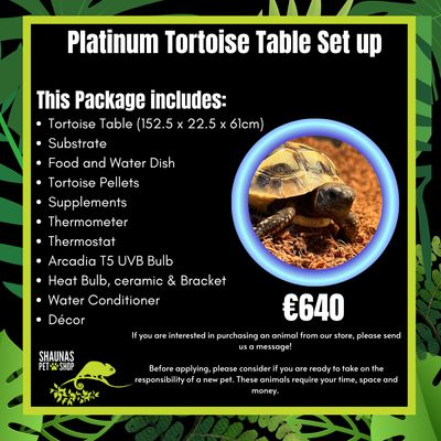 Platinum Tortoise Table Set Up