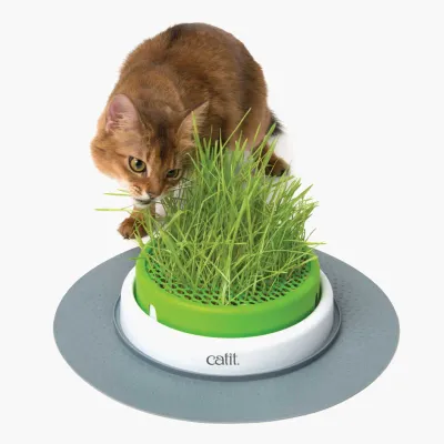 Catit Senses Grass Planter
