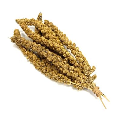 Millet Spray (8 in bag)