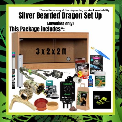 Bearded Dragon Silver Setup (Suitable For Juvenile Bearded Dragons Only)