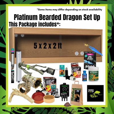 Bearded Dragon Platinum Setup